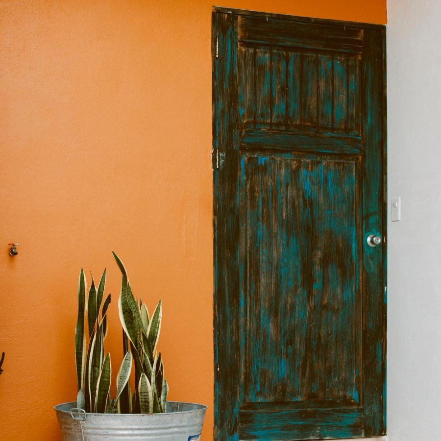 Kay Apartments Isla Mujeres Dış mekan fotoğraf